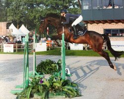 jumper Quorado 3 (Hanoverian, 2007, from Quality 9)