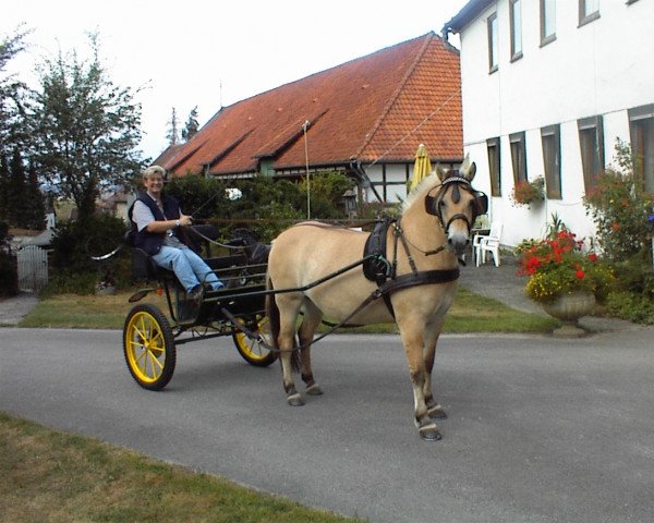 horse Jou-Jou von Clus (Fjord Horse, 1999, from Ohlsen)