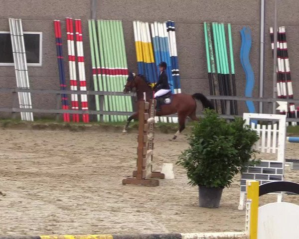 Reitturnier Kalenborn Hegehof 2017