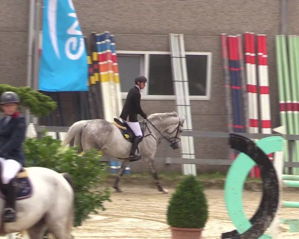 Reitturnier Kalenborn Hegehof 2017