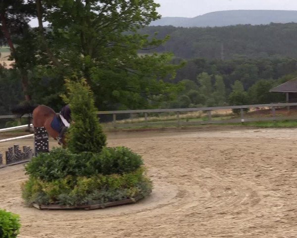 Reitturnier Kalenborn Hegehof 2017