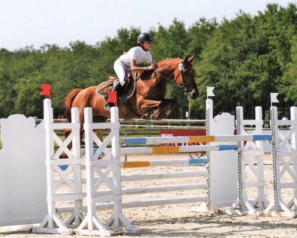 broodmare Cloe du Ry-Ternel (Belgian Riding Pony, 1998, from Nabor)