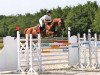 broodmare Cloe du Ry-Ternel (Belgian Riding Pony, 1998, from Nabor)