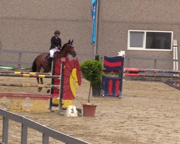 Reitturnier Kalenborn Hegehof 2017