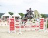 broodmare Colada 4 (Oldenburg show jumper, 2006, from Colander)