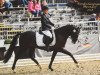 dressage horse Dream Lover 4 (German Riding Pony, 2015, from D-Day AT)