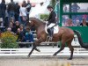 dressage horse Figo H (Hanoverian, 2013, from Fürstenball)