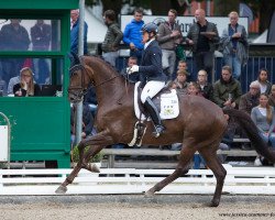 broodmare FBW Diva Georgina (Württemberger, 2013, from Don Juan de Hus)