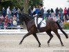 dressage horse Dresscode (Westphalian, 2013, from Destano)