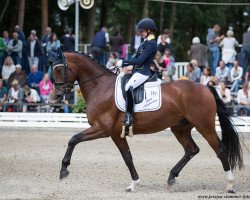 dressage horse Descando (Westphalian, 2013, from Diamond Hit)