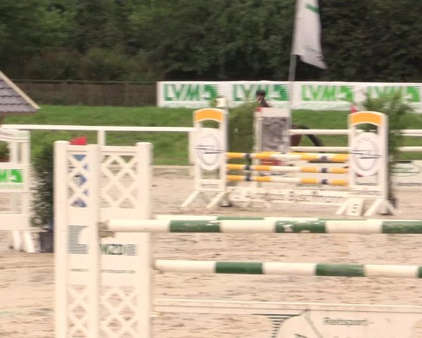Reitturnier Melle-Ostenfelde 2017