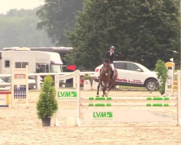 Reitturnier Melle-Ostenfelde 2017