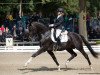 dressage horse Bon Bruno (Westphalian, 2013, from Bon Bravour)