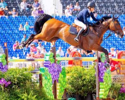 jumper Indiana (Belgian Warmblood, 2008, from Kashmir van't Schuttershof)