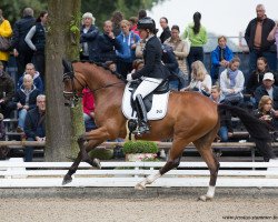 dressage horse Ben Vito (Hanoverian, 2013, from Callaho's Benicio)