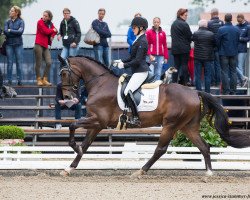 dressage horse Snowman Fs (Westphalian, 2013, from San Amour I)