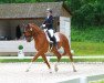 dressage horse Bergkristall's Burlington (Hanoverian, 2003, from Bergkristall)