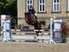 jumper Wieso Pina (German Riding Pony, 2012, from FS Pearcy Pearson)