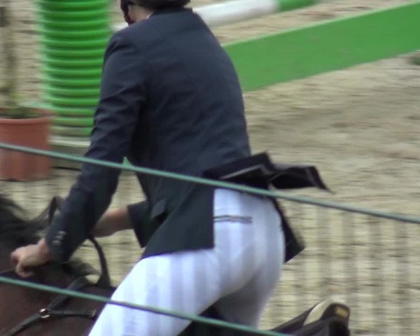 Springturnier Lindlar-Süttenbach 2017