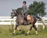 dressage horse Camar Escobar (Trakehner, 2009, from Hibiskus)