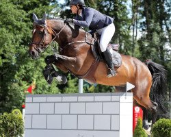 jumper Idalville D'Esprit (Belgian Warmblood, 2008, from Carabas van de Wateringhoeve)