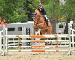 jumper Le rouge celeste (Oldenburg, 2007, from Le Carolus)