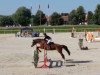 Springpferd Quity de Luxe CH (Schweizer Warmblut, 2008, von Quite Easy I)