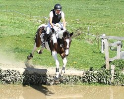 jumper Star Valentino (Pinto / Hunter, 2008, from Star Fire)