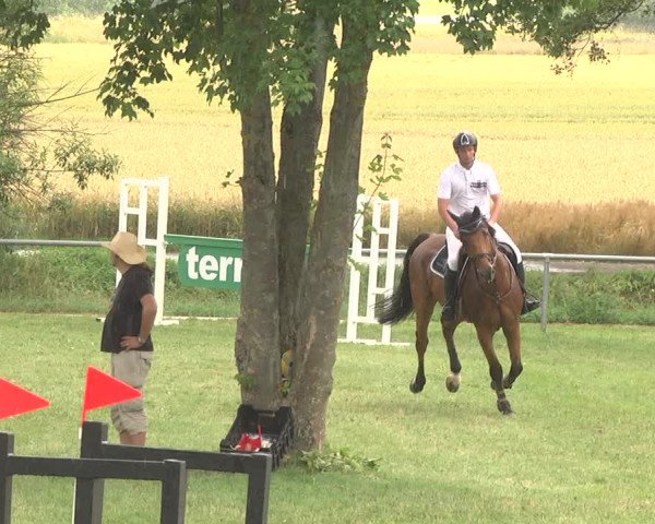 Reitturnier Herrenberg-Gültstein 2017
