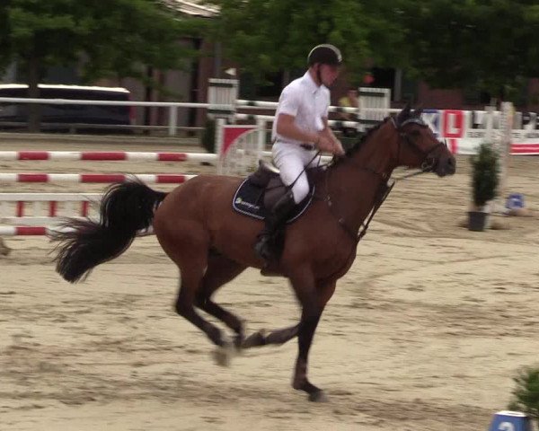 Reitturnier Haren 2017