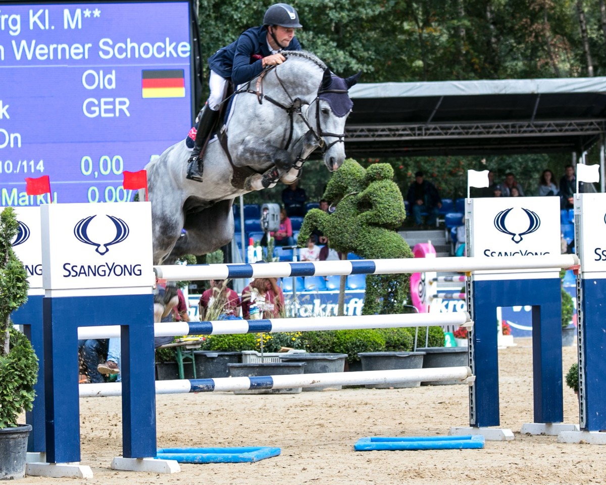 stallion Diaron OLD (Oldenburg, 2012, from Diarado)