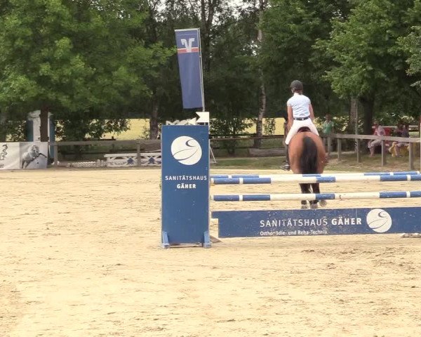 Reitturnier Münster-Roxel 2017