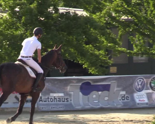 Reitturnier Haren 2017