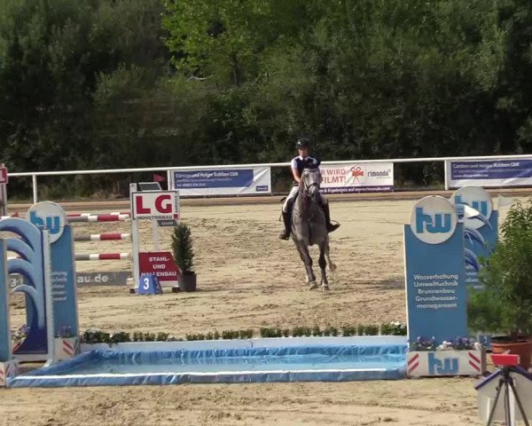 Reitturnier Haren 2017
