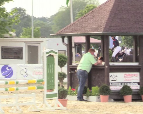 Reitturnier Münster-Roxel 2017