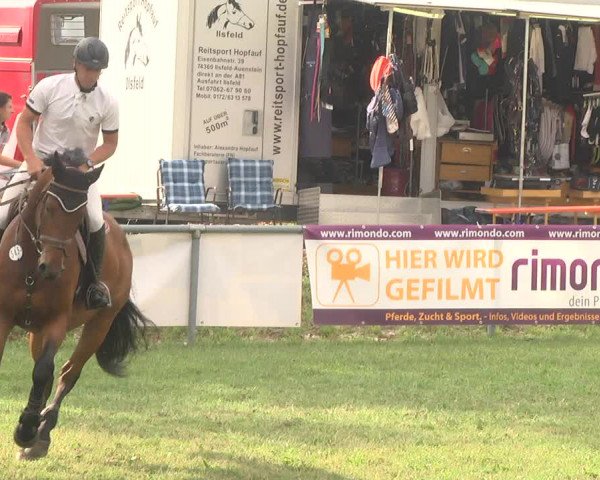 Reitturnier Herrenberg-Gültstein 2017