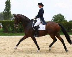 dressage horse Tausendsassa (Trakehner, 2000, from Freudenfest)