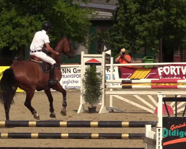Reitturnier Haren 2017