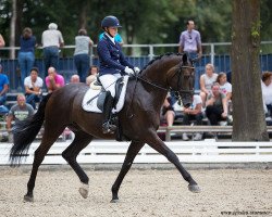 dressage horse Mist of Titanium OLD (Oldenburg, 2012, from E.H. Millennium)