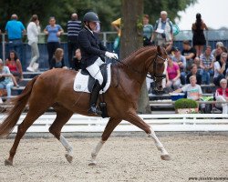 dressage horse Finley (Hanoverian, 2012, from Fuechtels Floriscount OLD)