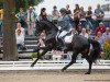 dressage horse Revenant (Westphalian, 2012, from Rock Forever NRW)