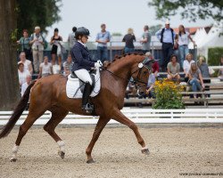 dressage horse Vernissage 8 (Westphalian, 2012, from Vitalis)