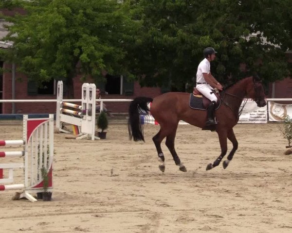 Reitturnier Haren 2017