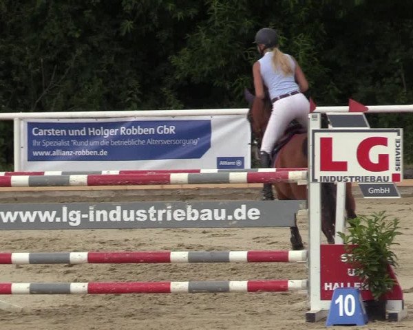 Reitturnier Haren 2017