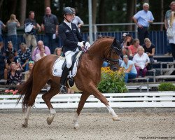 stallion Nymphenburgs Royal Side (Hanoverian, 2012, from Royal Classic I)