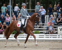 dressage horse Londonchamp (Hanoverian, 2012, from Londontime)