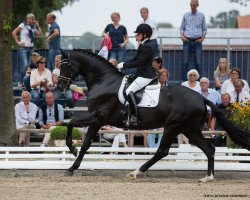 stallion Libertad FRH (Hanoverian, 2012, from Londontime)