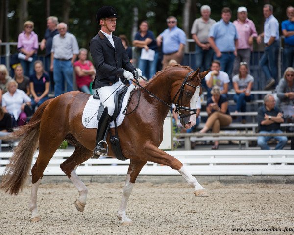 dressage horse Leo Löwenherz 11 (Rhinelander, 2012, from Henglein's Licosto)