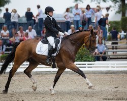 dressage horse Legendary Loon (Hanoverian, 2012, from Lissaro)