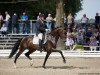 dressage horse Famous 35 (Rhinelander, 2012, from Fürst Piccolo)